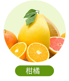 柑橘专用有机肥