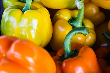 番茄专用有机肥